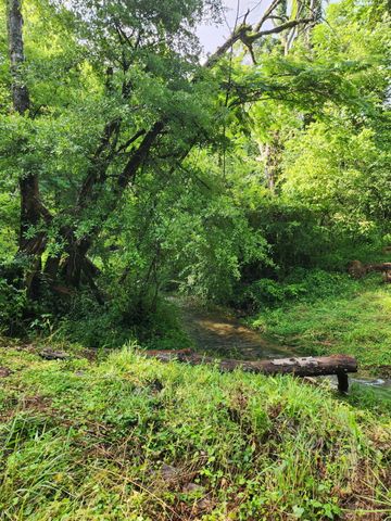 0 N Highway 341 246, Chickamauga, GA 30707