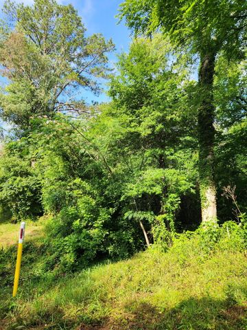 0 N Highway 341 246, Chickamauga, GA 30707