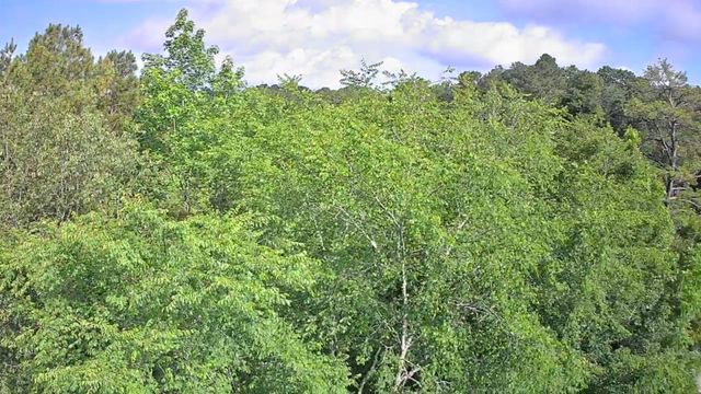 0 N Highway 341 246, Chickamauga, GA 30707