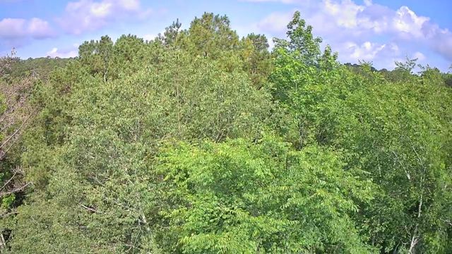 0 N Highway 341 246, Chickamauga, GA 30707