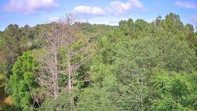 0 N Highway 341 246, Chickamauga, GA 30707