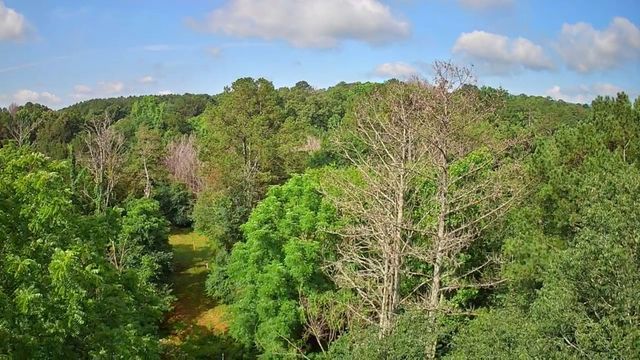 0 N Highway 341 246, Chickamauga, GA 30707