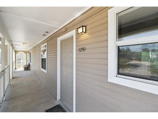 1251 S Gilbert St 1251, Castle Rock, CO 80104
