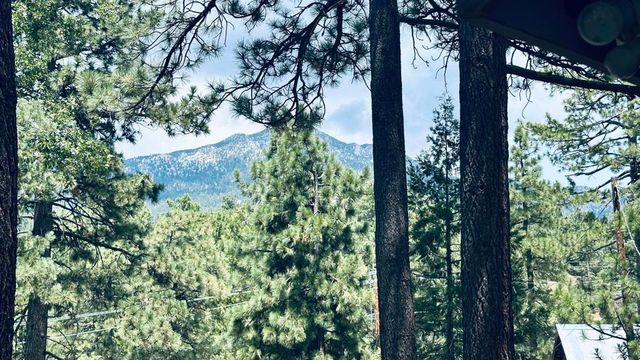 52955 Fern Land Drive, Idyllwild, CA 92549