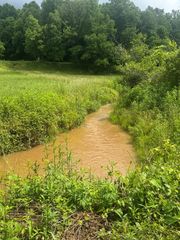 00 Tails Creek Road, Ellijay, GA 30540