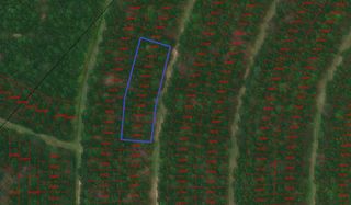 0 Wood Forest, Livingston, TX 77351