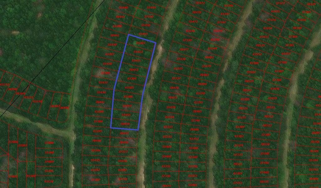 0 Wood Forest, Livingston, TX 77351