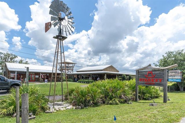 12148 HOMESTEADER AVENUE, Odessa, FL 33556