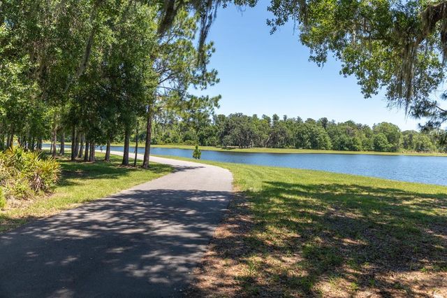 12148 HOMESTEADER AVENUE, Odessa, FL 33556