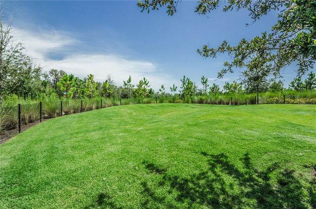 12148 HOMESTEADER AVENUE, Odessa, FL 33556