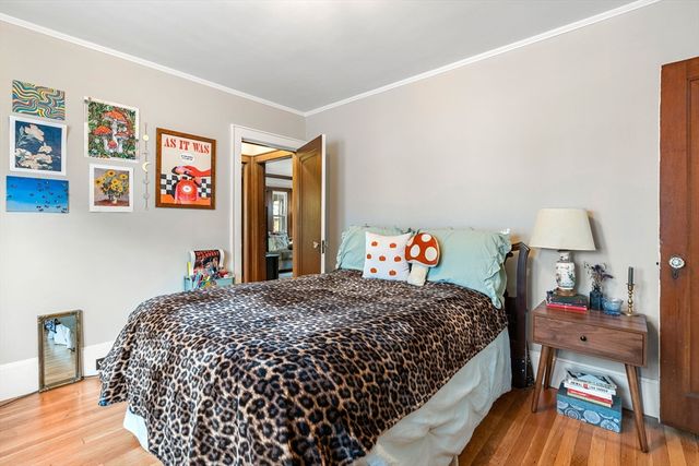 3 Seagrave Rd, Cambridge, MA 02140