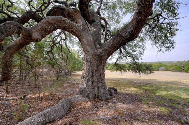 6573 Ranch Road 165, Blanco, TX 78606