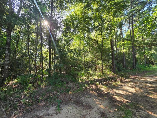 Lot 2 Block 4 Winters Vista Drive, Willis, TX 77378