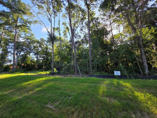 Lot 2 Block 4 Winters Vista Drive, Willis, TX 77378