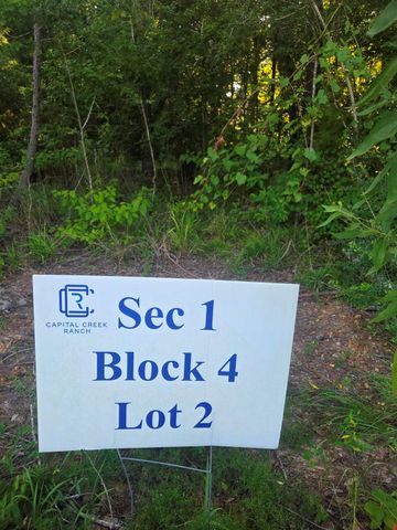 Lot 2 Block 4 Winters Vista Drive, Willis, TX 77378