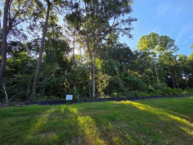 Lot 2 Block 4 Winters Vista Drive, Willis, TX 77378