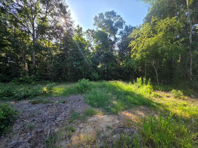 Lot 2 Block 4 Winters Vista Drive, Willis, TX 77378