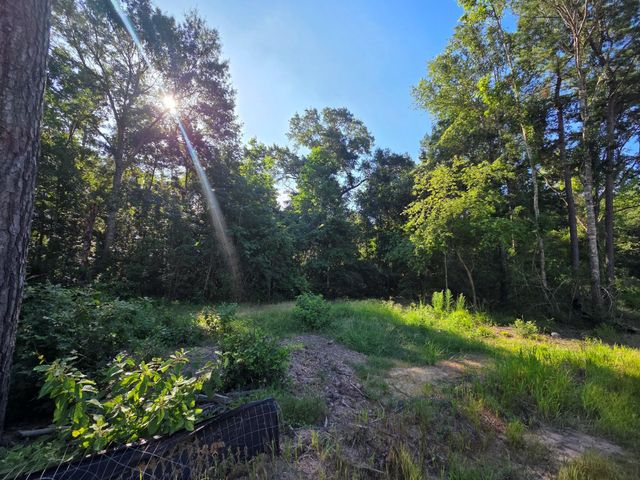 Lot 2 Block 4 Winters Vista Drive, Willis, TX 77378