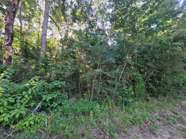 Lot 2 Block 4 Winters Vista Drive, Willis, TX 77378