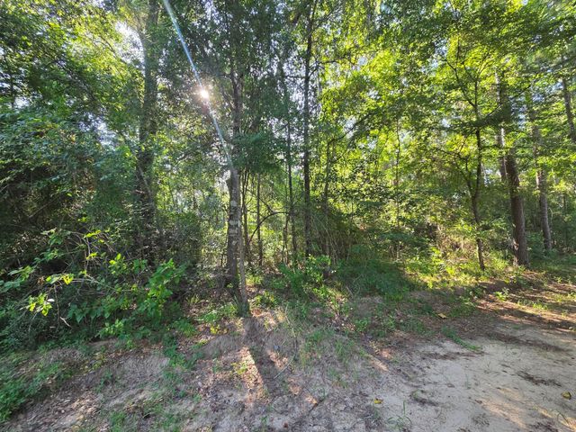 Lot 2 Block 4 Winters Vista Drive, Willis, TX 77378