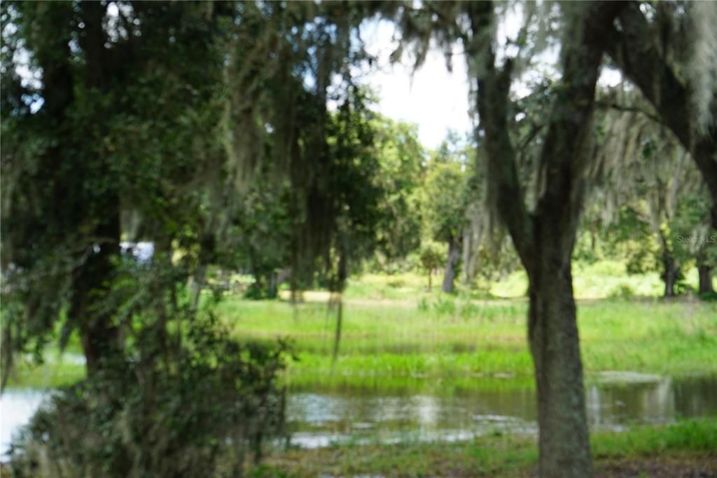 GALLAGHER ROAD, Plant City, FL 33565