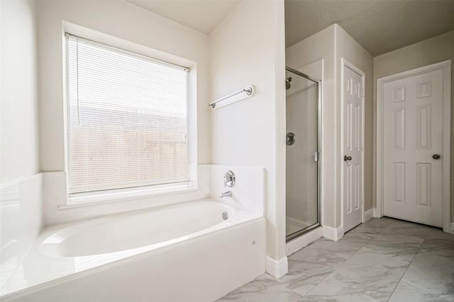 4822 Mosaic Canyon Court, Humble, TX 77396