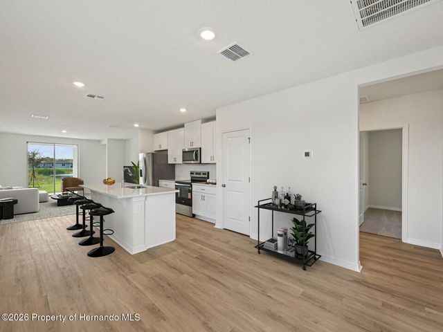 17453 GREEN GROOVE Drive, Brooksville, FL 34601