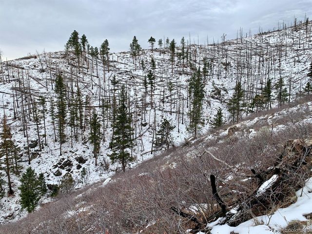 498 Helms Deep Road, Bellvue, CO 80512