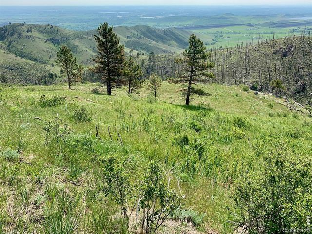 498 Helms Deep Road, Bellvue, CO 80512