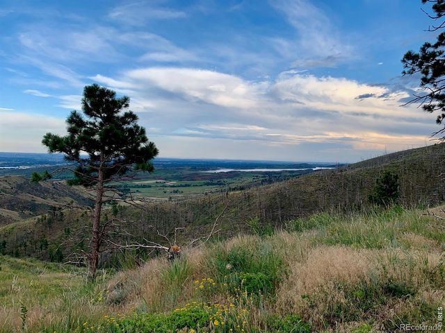 498 Helms Deep Road, Bellvue, CO 80512
