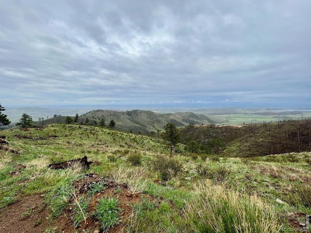 498 Helms Deep Road, Bellvue, CO 80512