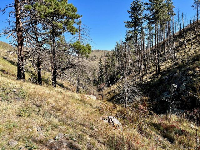 498 Helms Deep Road, Bellvue, CO 80512