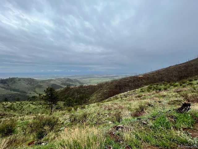 498 Helms Deep Road, Bellvue, CO 80512