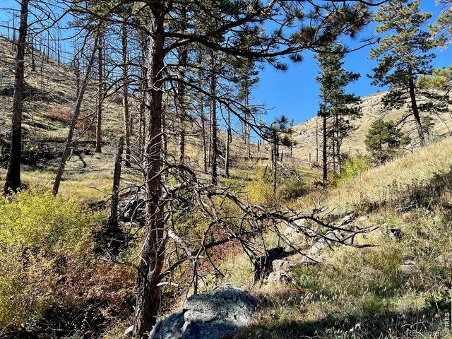 498 Helms Deep Road, Bellvue, CO 80512