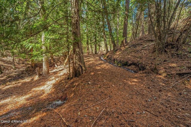 12515 Baldy Mountain Rd, Sandpoint, ID 83864