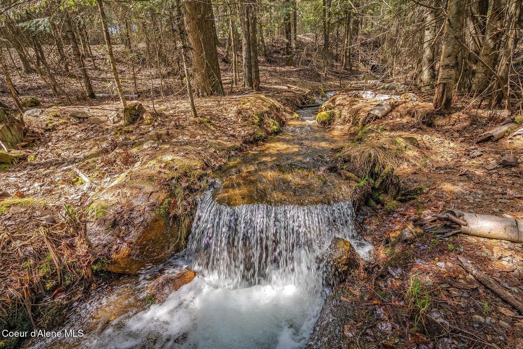 12515 Baldy Mountain Rd, Sandpoint, ID 83864 photo 11