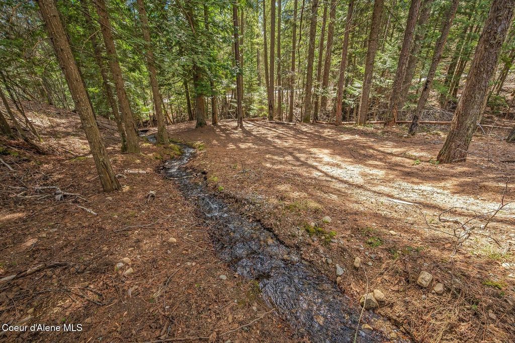 12515 Baldy Mountain Rd, Sandpoint, ID 83864 photo 59