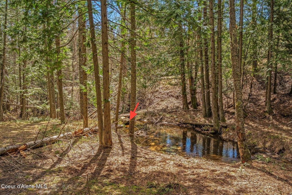 12515 Baldy Mountain Rd, Sandpoint, ID 83864 photo 80