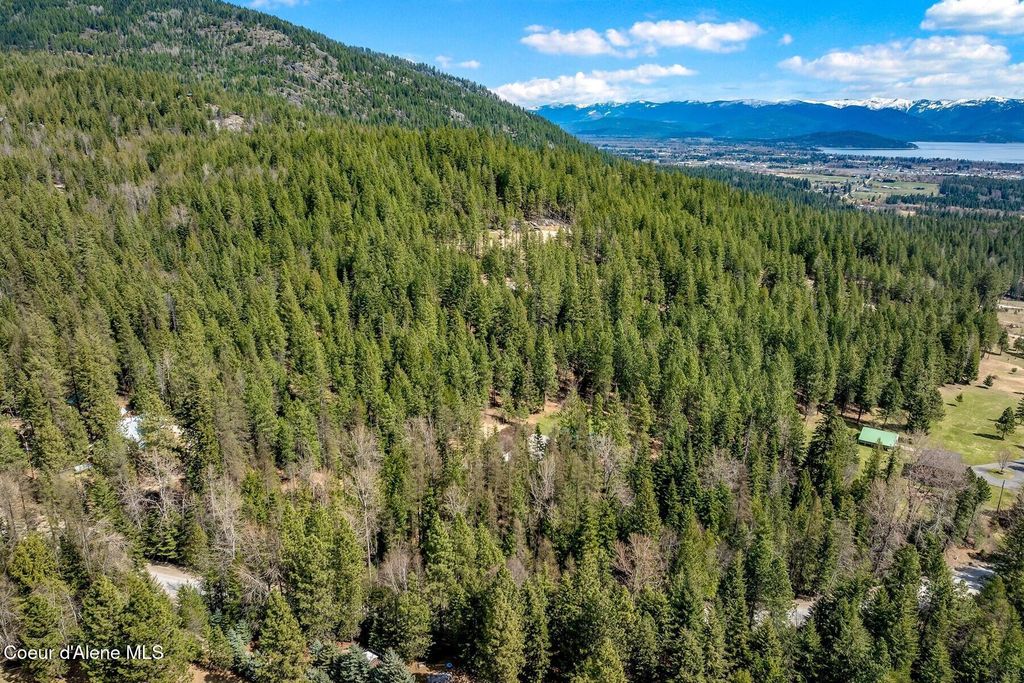 12515 Baldy Mountain Rd, Sandpoint, ID 83864 photo 83