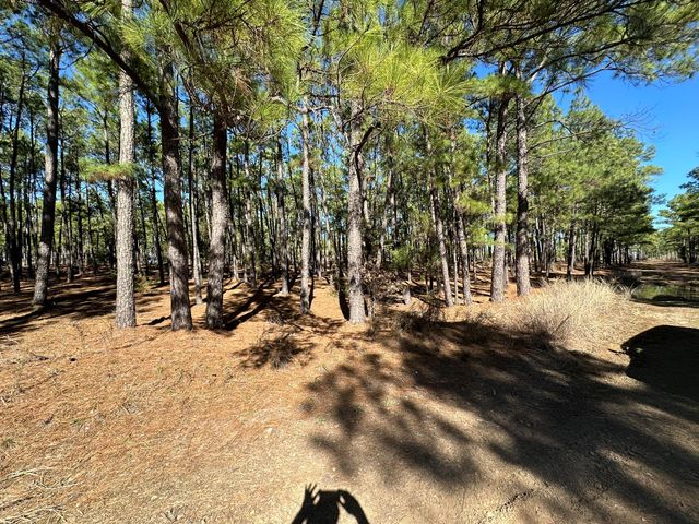 Lot 12 Hickory Ridge DR, Bastrop, TX 78602