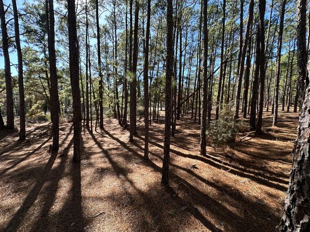 Lot 12 Hickory Ridge DR, Bastrop, TX 78602