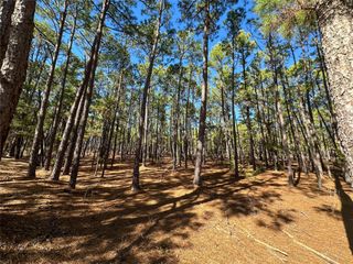 Lot 12 Hickory Ridge DR, Bastrop, TX 78602