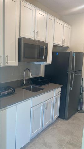 2058 LIVE OAK RIDGE ROAD, Kissimmee, FL 34746