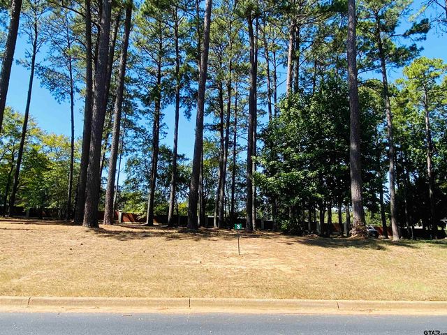 Lot 3 Easy St, Frankston, TX 75763