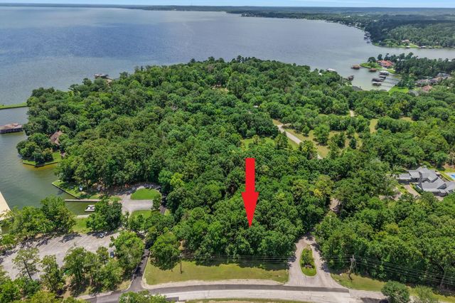 TBD Ridge Lane, Coldspring, TX 77331