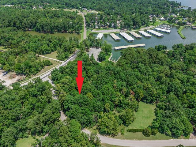 TBD Ridge Lane, Coldspring, TX 77331