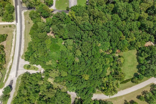 TBD Ridge Lane, Coldspring, TX 77331