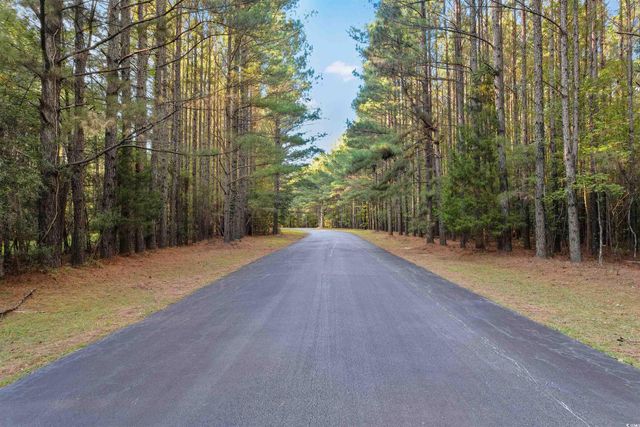 280 Mary George Ln., Georgetown, SC 29440