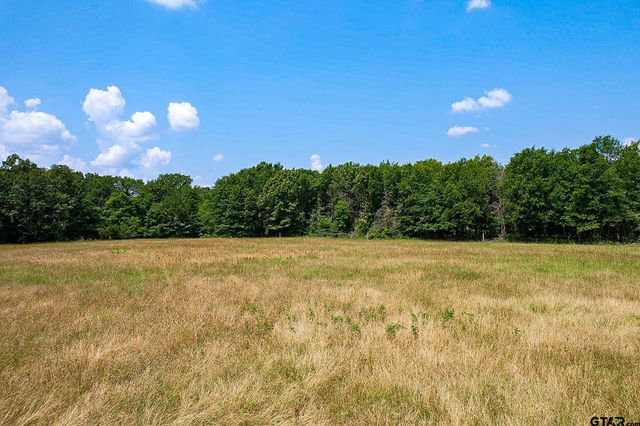 1007 NE CR 2010, Mt Vernon, TX 75457