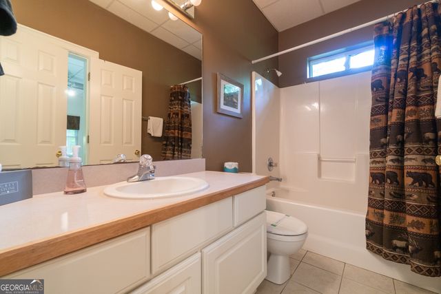 81 Dach Bruecke Gasse, Helen, GA 30545